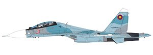 Su-30SM Red 31, Ameria Air Force, 2019 (Pre-built Aircraft)