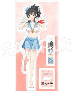 Senran Kagura Acrylic Stand Asuka Ver. (Anime Toy)