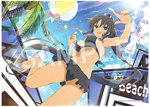 Senran Kagura A3 Size Clear Poster Homura Ver. (Anime Toy)