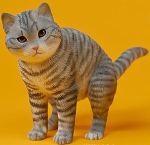JXKスタジオ 1/6 反逆の猫 A (ドール)