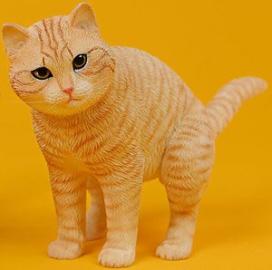JXKスタジオ 1/6 反逆の猫 B (ドール)