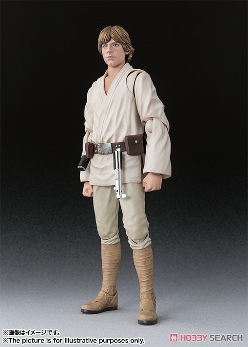 S.H.Figuarts Luke Skywalker (A New Hope) (Completed) Item picture1