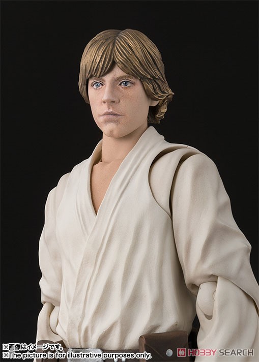S.H.Figuarts Luke Skywalker (A New Hope) (Completed) Item picture2
