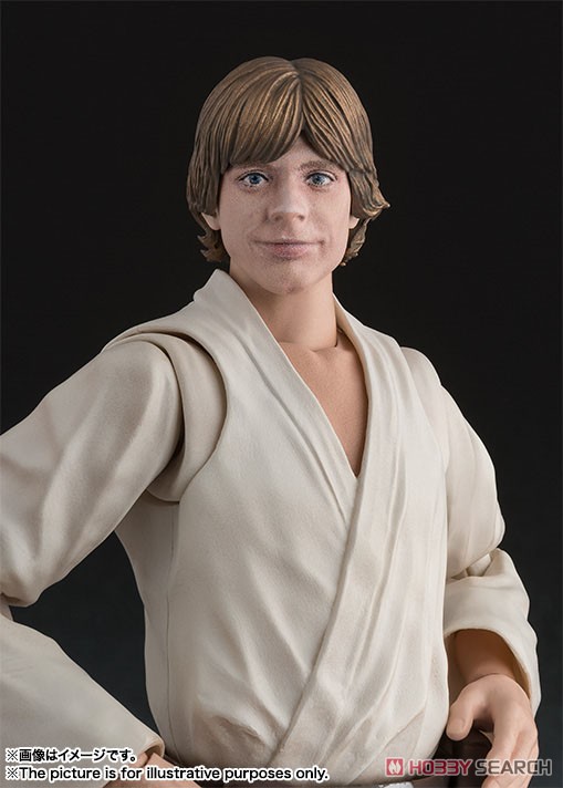 S.H.Figuarts Luke Skywalker (A New Hope) (Completed) Item picture6