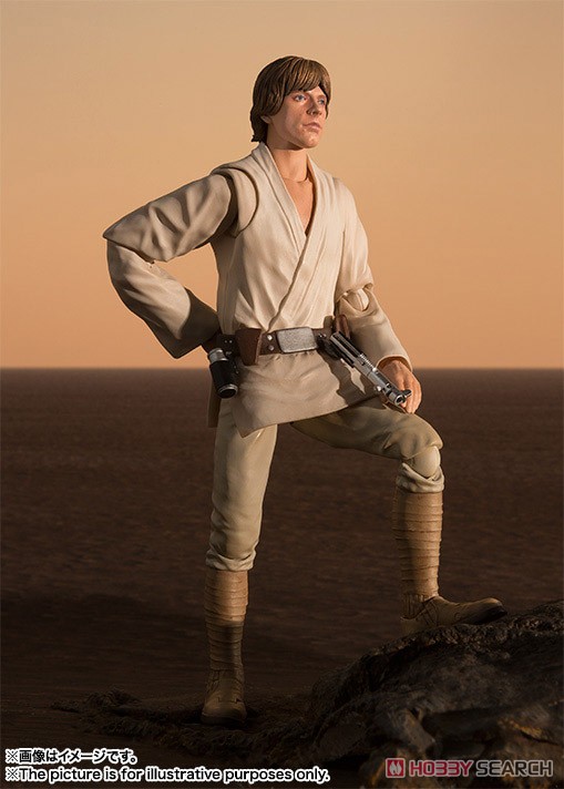 S.H.Figuarts Luke Skywalker (A New Hope) (Completed) Other picture2
