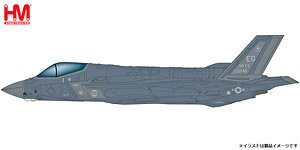 F-35A ライトニング2 `アメリカ空軍 第58戦闘飛行隊 2018` (完成品飛行機)