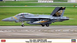 EA-18G Growler `VAQ-138 Yellow Jacket 2022` (Plastic model)