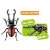 Ania AA-05 World Insect King Set (Animal Figure) Other picture6
