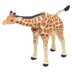 Ania AL-30 Giraffe (Reticulated Giraffe) (Animal Figure)