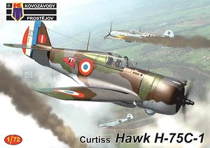 Curtiss Hawk H-75C-1 (Plastic model)