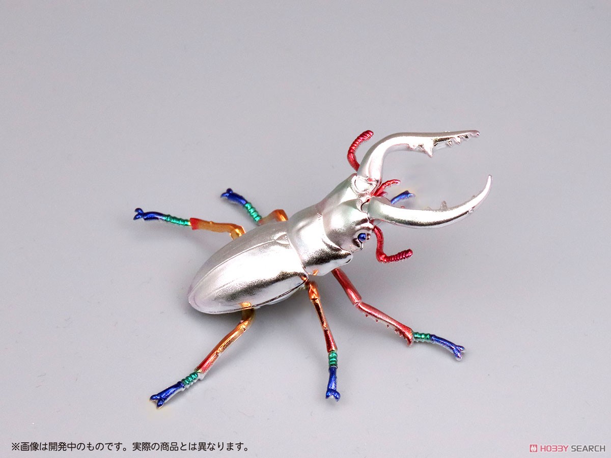 Pripra Mugen Museum Mugen Stag Beetle Dia (Plastic model) 商品画像3