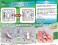 Pripra Mugen Museum Mugen Stag Beetle Dia (Plastic model) その他の画像3 Thumbnail