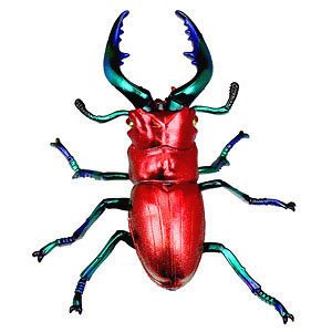 Pripra Mugen Museum Mugen Stag Beetle Ruby (Plastic model)