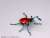 Pripra Mugen Museum Mugen Stag Beetle Ruby (Plastic model) Item picture4