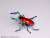 Pripra Mugen Museum Mugen Stag Beetle Ruby (Plastic model) Item picture6