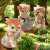 Deer Family (Sylvanian Families) Other picture4