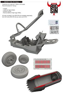 F-35A Big Sin Parts Set (for Tamiya) (Plastic model)