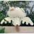 Monster Hunter Deformed Plush Paolumu (Reprint) (Anime Toy) Other picture2