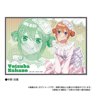 The Quintessential Quintuplets Specials Blanket Marchen sisters Ver. Yotsuba Nakano (Anime Toy)