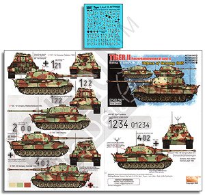 Schwere Panzerabteilung 507 Tiger IIs (Plastic model)