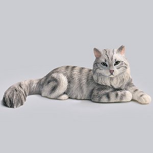 JXK Small Mini Maine Coon B (Fashion Doll)