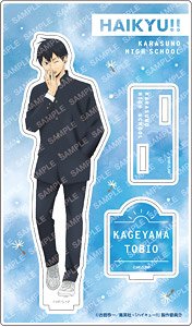Haikyu!! Acrylic Stand -Weather Copyright Vol.2 - (B Tobio Kageyama) (Anime Toy)