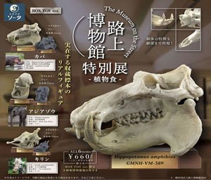 Road Museum Special Exhibition - Plant Food (Set of 6) (Completed)