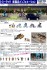 Visual Scene Accessory 140 Rental Bicycle (Model Train) その他の画像3 Thumbnail