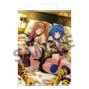 High School DxD Hero B2 Tapestry Vol.3 Xenovia & Irina Kimusume Taiji Ver. (Anime Toy)