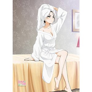ガールズ＆パンツァー 最終章 B2タペストリー(西住しほ/バスローブ) (キャラクターグッズ)
