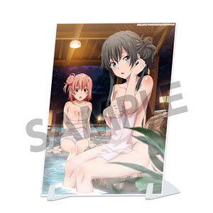やはり俺の青春ラブコメはまちがっている。続 ビジュアルアクリルプレート 雪ノ下雪乃＆由比ヶ浜結衣 温泉 ver. (キャラクターグッズ)