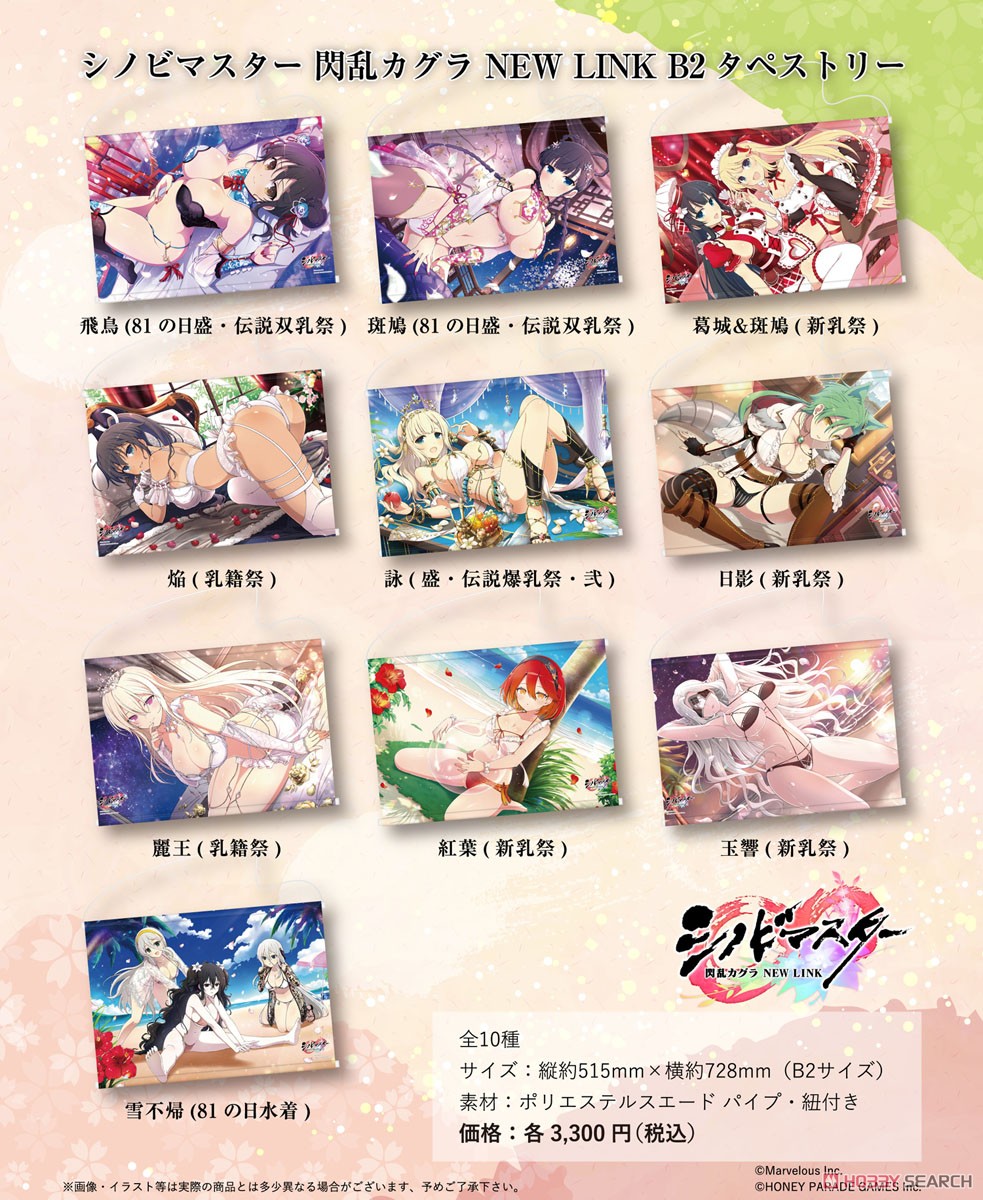 Shinovi Master Senran Kagura New Link B2 Tapestry Katsuragi & Ikaruga (Shin Nyuu Festival) (Anime Toy) Other picture1
