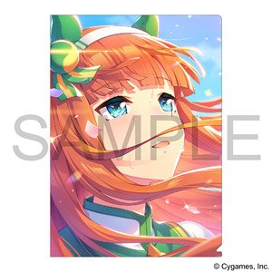 Uma Musume Pretty Derby Clear File Vol.16 [Madaminu Keshiki wo Motomete] Silence Suzuka (Anime Toy)