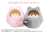 Cardcaptor Sakura: Clear Card Kurumi Tapinui Pillow Syaoran Li (Anime Toy) Other picture2