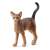 Abyssinian cat (Animal Figure) Item picture1