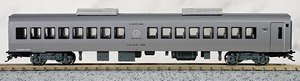 SAHA787-100 `Around the Kyushu` (Model Train)