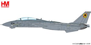 Grumman F-14A Tomcat `Fist of the Fleet` 160685, US Navy (Pre-built Aircraft)