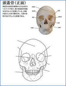 人体解剖図塗り絵 (書籍)