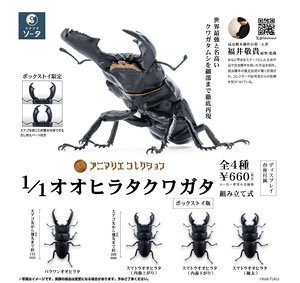 アニマリエコレクション 1/1 オオヒラタクワガタ (4個セット) (完成品)