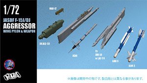 F-15J/DJ Aggressor Wing Pylon & Weapon Set (Plastic model)
