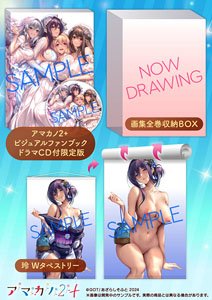 『アマカノ2+ ビジュアルファンブック ドラマCD付限定版』+画集全巻収納BOX+『D 玲』Wタペストリー (画集・設定資料集)