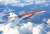F/A-18F Super Hornet US Navy special paint (Plastic model) Other picture1