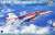 F/A-18F Super Hornet US Navy special paint (Plastic model) Package1