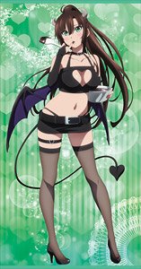 Strike the Blood Final [Especially Illustrated] Life-size Tapestry [Little Devil Ver.] (3) Sayaka Kirasaka (Anime Toy)