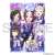 Uma Musume Pretty Derby Clear File Vol.17 [Tsumugareteyuku Omoi] Team [Sirius] (Anime Toy) Item picture1