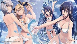 Bushiroad Rubber Mat Collection V2 Vol.1175 Dengeki Bunko The Misfit of Demon King Academy [Geordal Ver.] (Card Supplies)