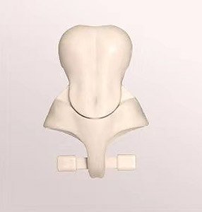 Eve Doll Nymph30 Optional Waist (Horizontal Articulation) Doll White (Fashion Doll)