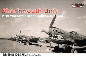 Sharkmouth Unit P-40 Warhawks of the 51st FG Over CBI (Decal)