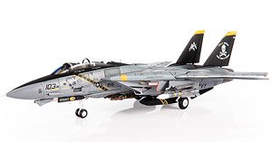 F-14B アメリカ海軍 VF-103 ジョリーロジャース Final Tomcat Cruise 2004 (完成品飛行機)