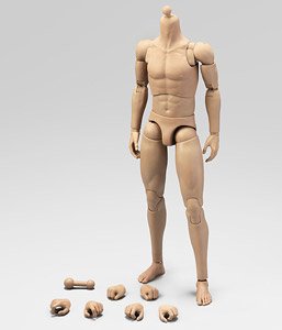 Alert Line 1/6 Male Body A (Fashion Doll)